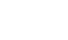 logo webifly